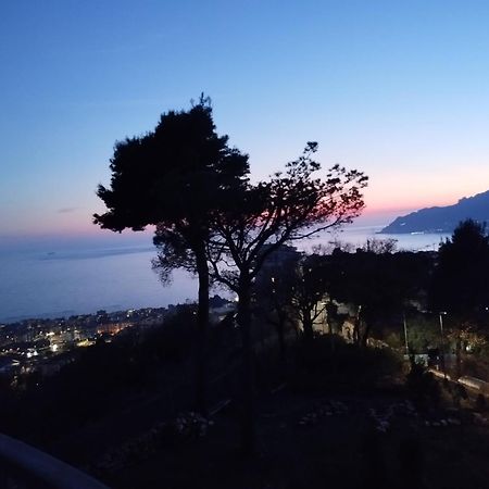 绿翡翠住宿家早餐旅馆 萨莱诺 外观 照片
